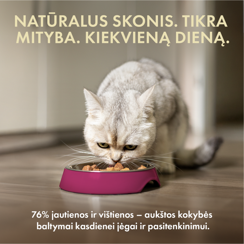 Visų veislių suaugusių kačių šlapias pašaras su jautiena ir vištiena