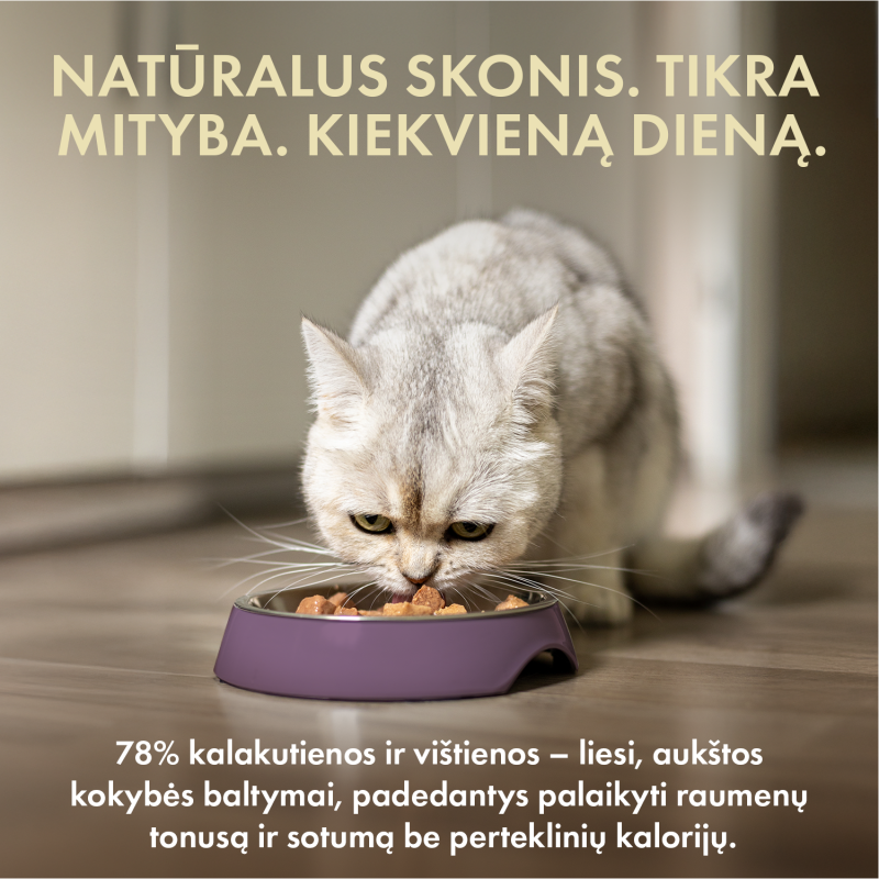 Visų veislių suaugusių sterilizuotų kačių šlapias pašaras su kalakutiena ir vištiena