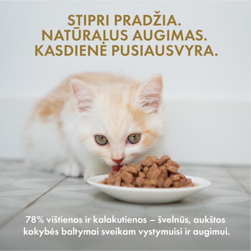 Visų veislių kačiukų šlapias pašaras su kalakutiena ir vištiena