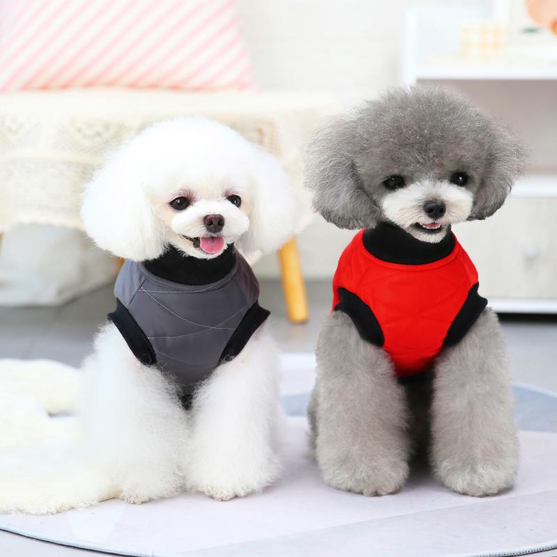 Paw Couture ????? ??? ????????