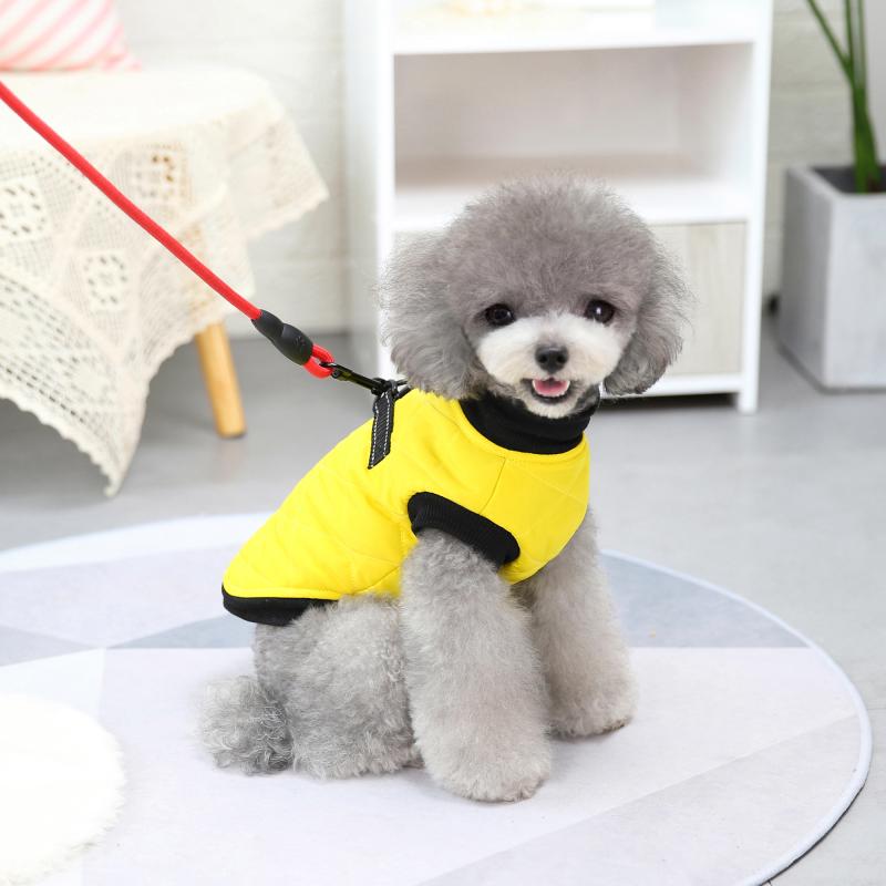 Paw Couture ????? ??? ????????