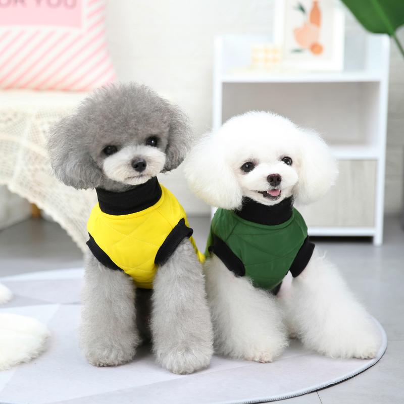 Paw Couture ????? ??? ????????