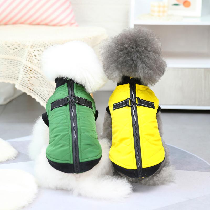 Paw Couture ????? ??? ????????