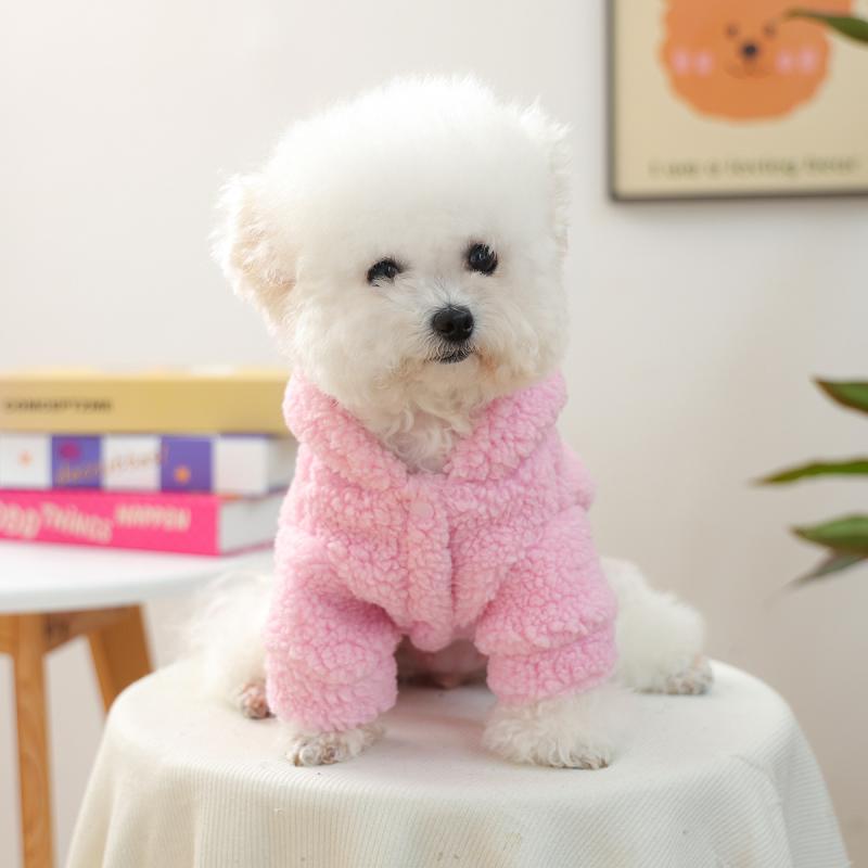 Paw Couture ????? ??? ????????