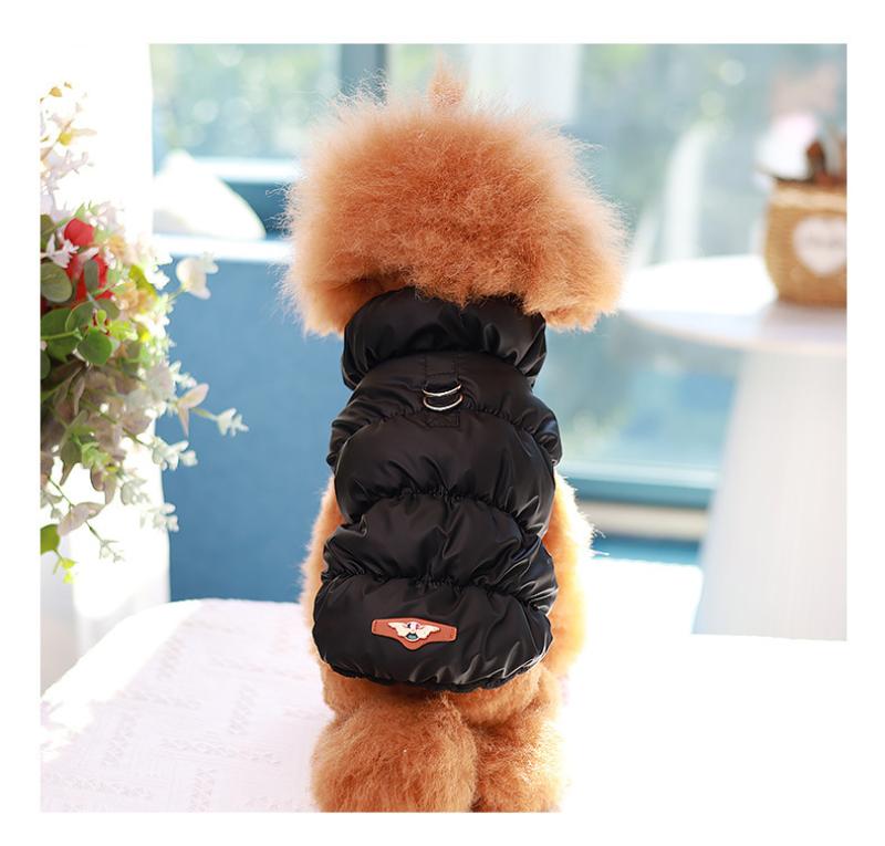 Paw Couture ????? ??? ????????