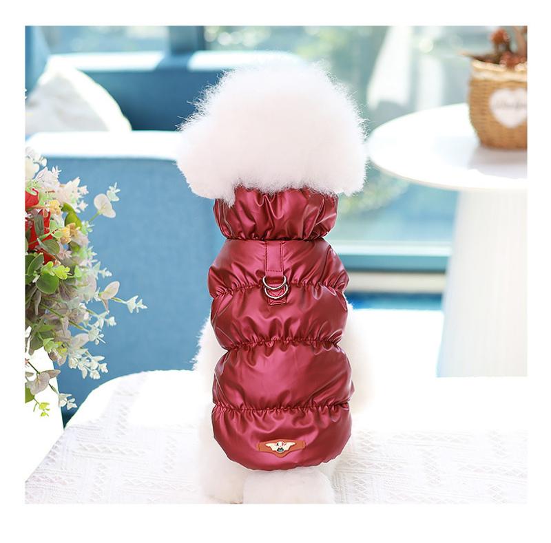 Paw Couture ????? ??? ????????