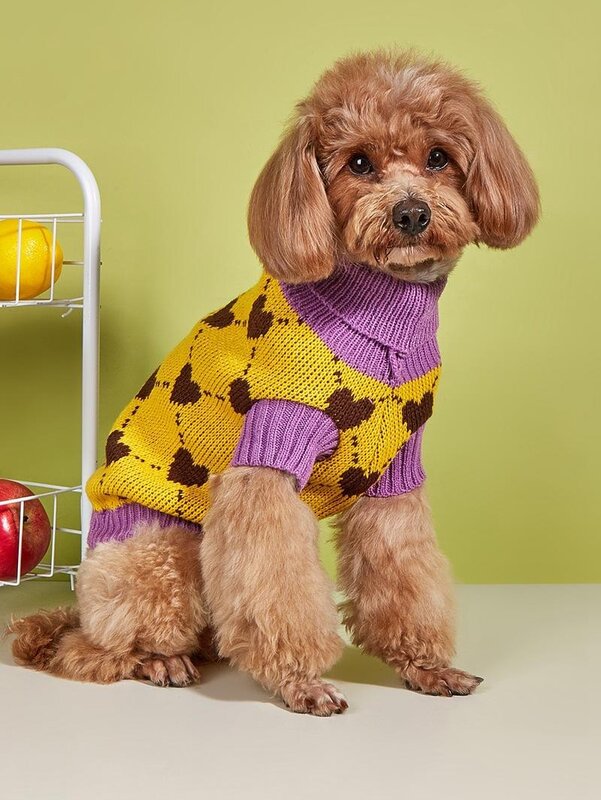 Paw Couture ?????? ??? ????????