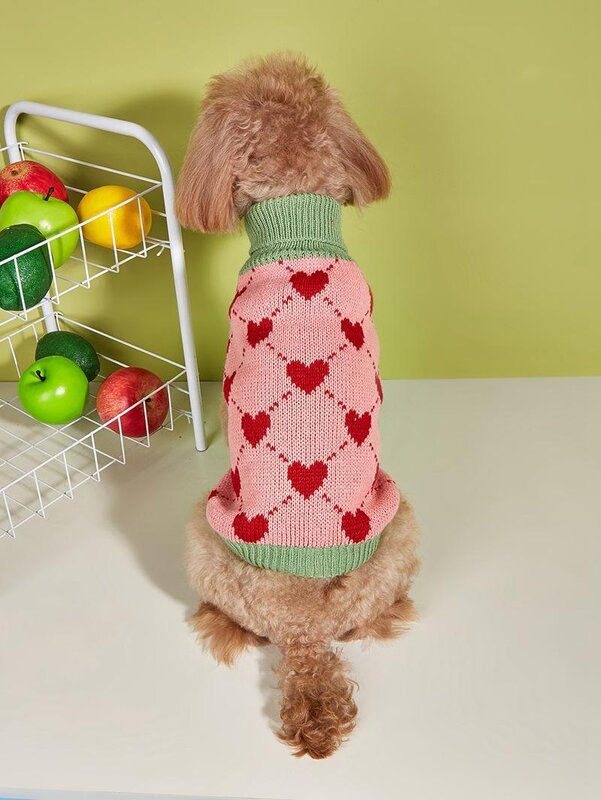 PAW COUTURE gyvūnų augintinių megztinis, rožinis/žalias