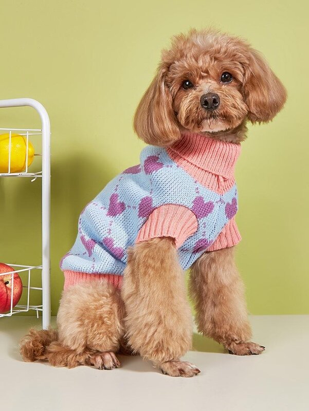 Paw Couture ?????? ??? ????????