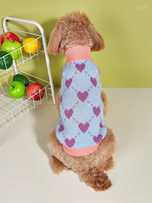 Paw Couture ?????? ??? ????????