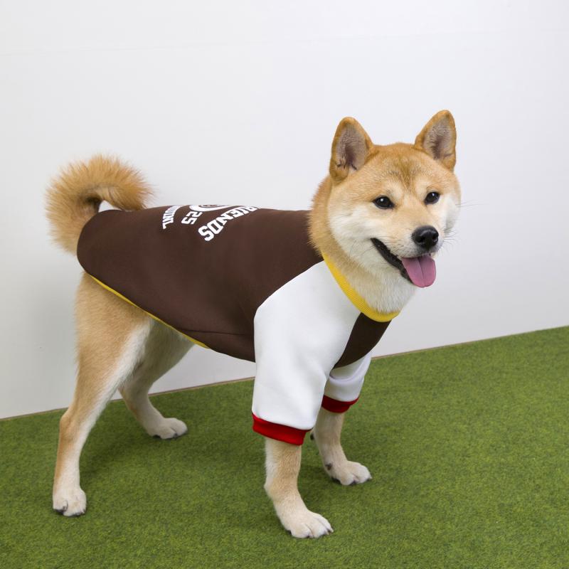 Paw Couture ????? ??? ????????