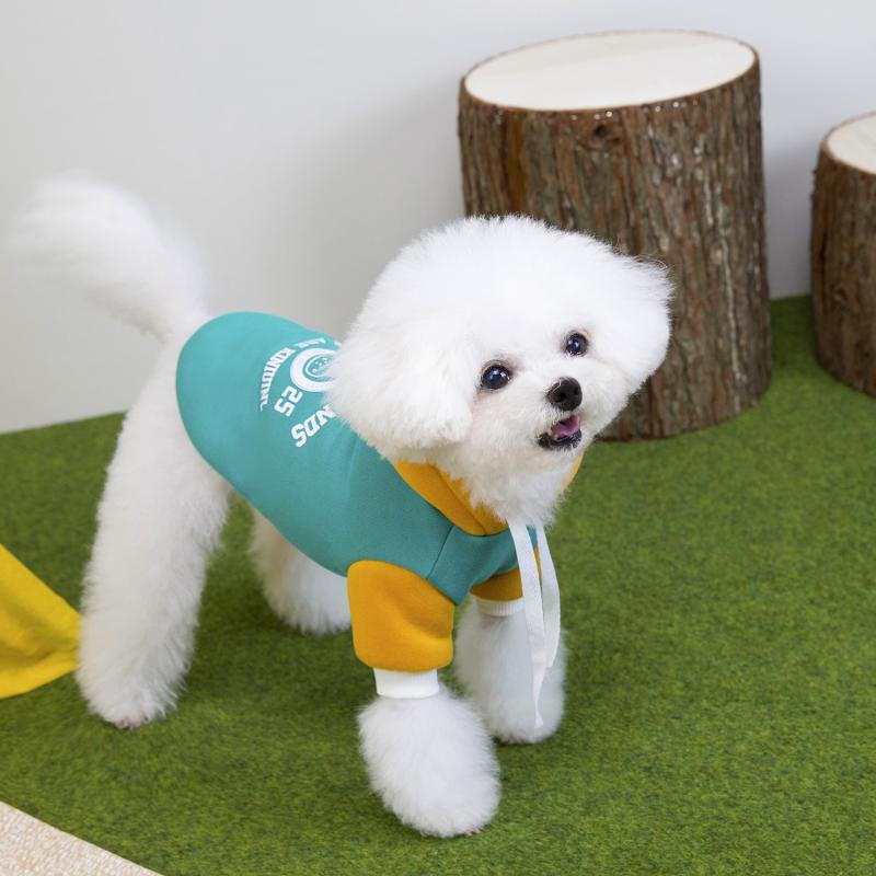 Paw Couture ????? ??? ????????