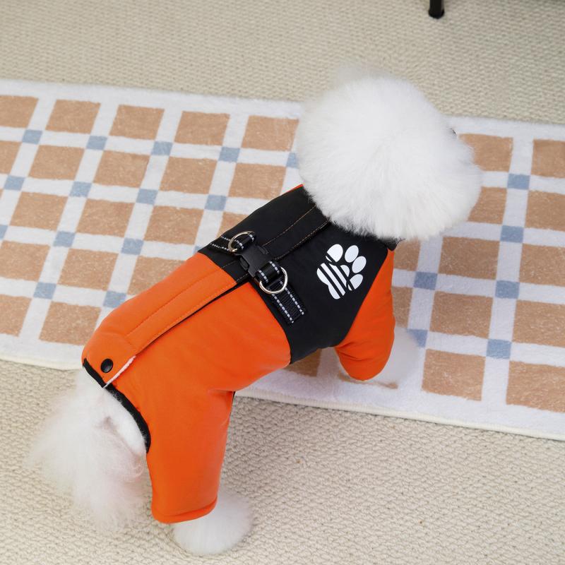 Paw Couture ?????????? ??? ????????