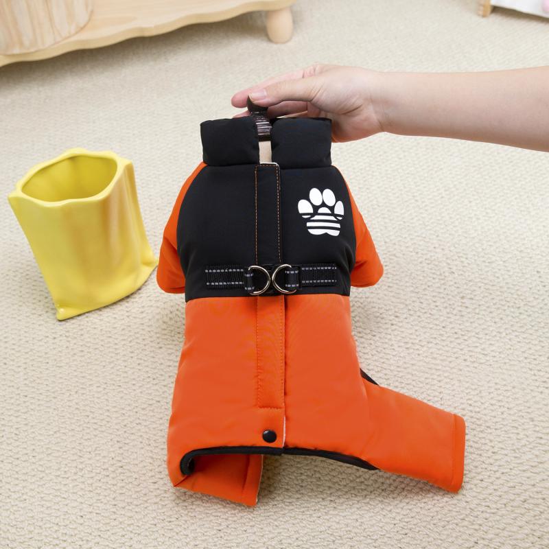 Paw Couture ?????????? ??? ????????