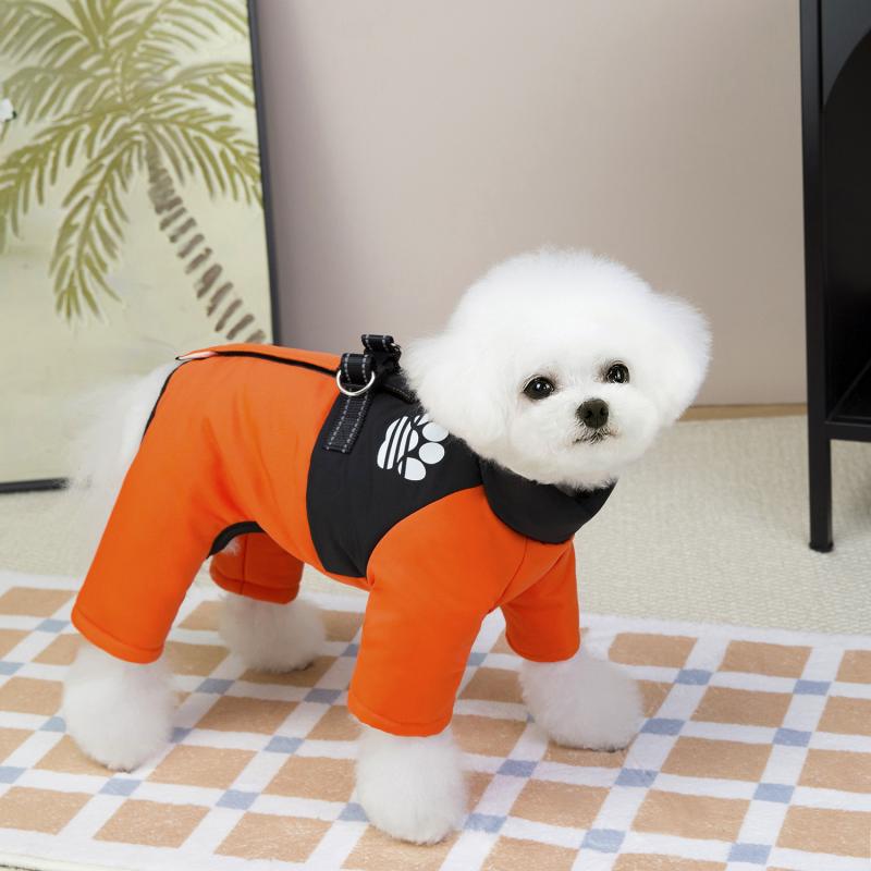 Paw Couture ?????????? ??? ????????