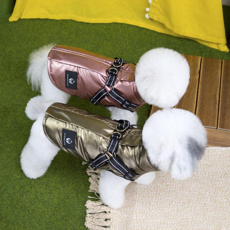 Paw Couture ????? ??? ????????
