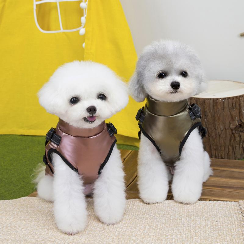 Paw Couture ????? ??? ????????