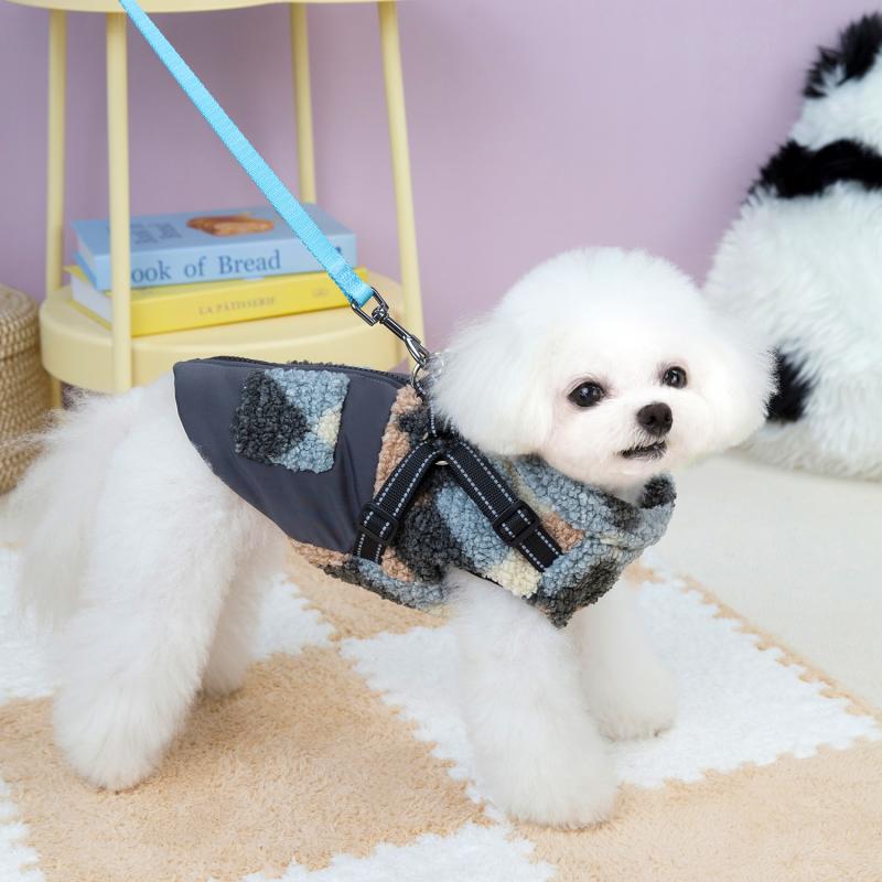 Paw Couture ????? ??? ????????