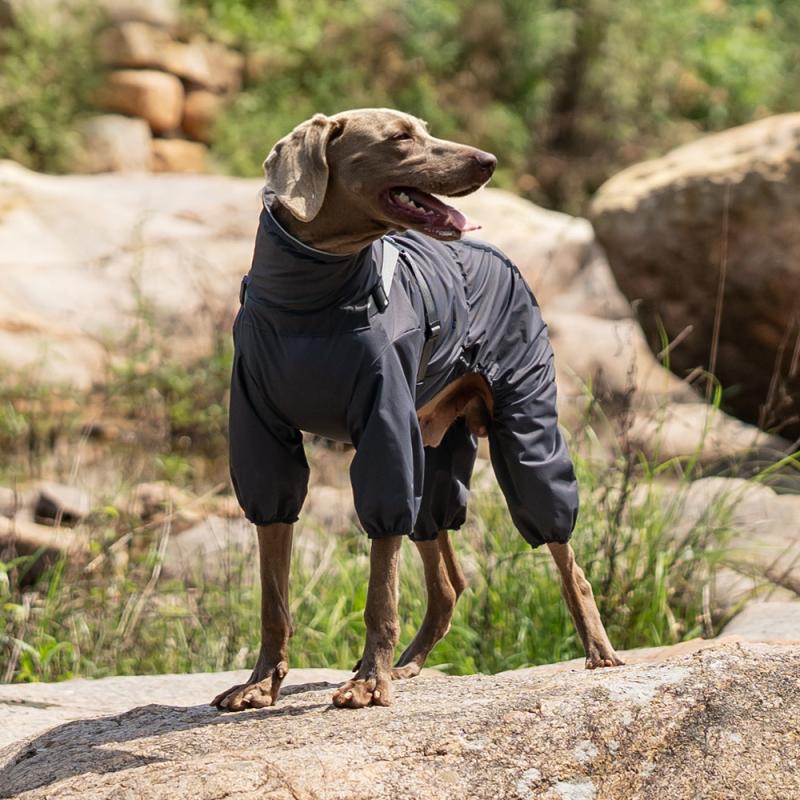 Paw Couture ???????? ??? ????????