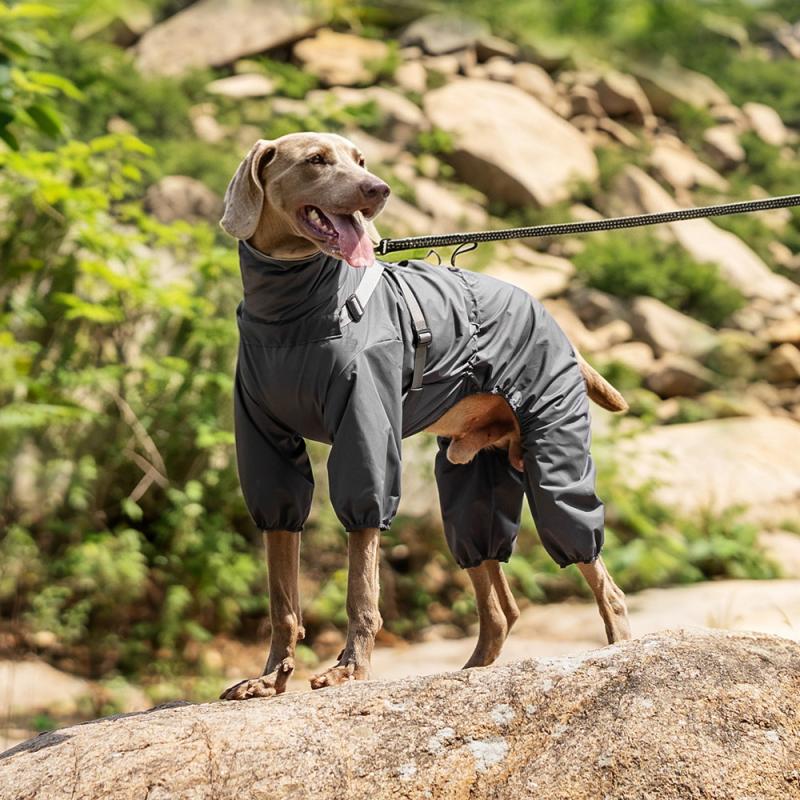 Paw Couture ???????? ??? ????????