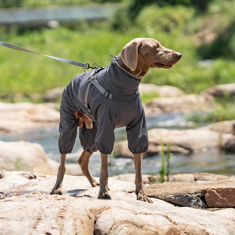 Paw Couture ???????? ??? ????????