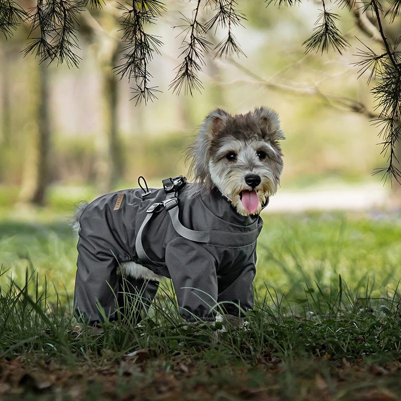 Paw Couture ???????? ??? ????????