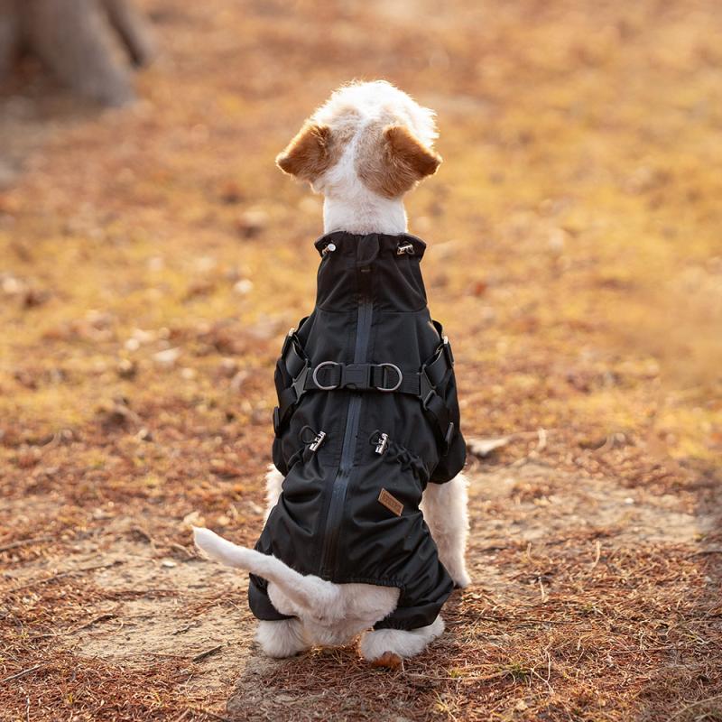 Paw Couture ???????? ??? ????????
