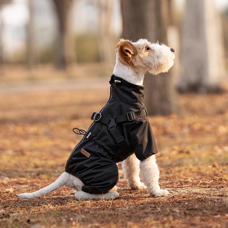 Paw Couture ???????? ??? ????????