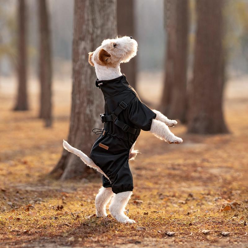 Paw Couture ???????? ??? ????????