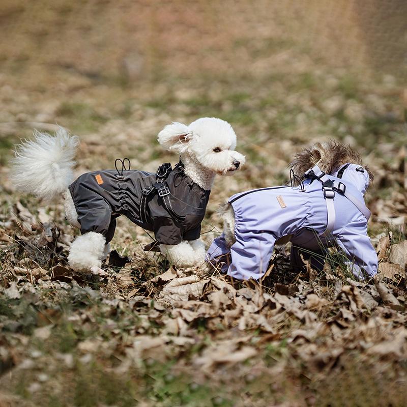 Paw Couture ???????? ??? ????????