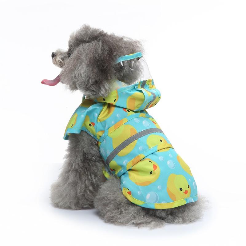 Paw Couture ???????? ??? ????????