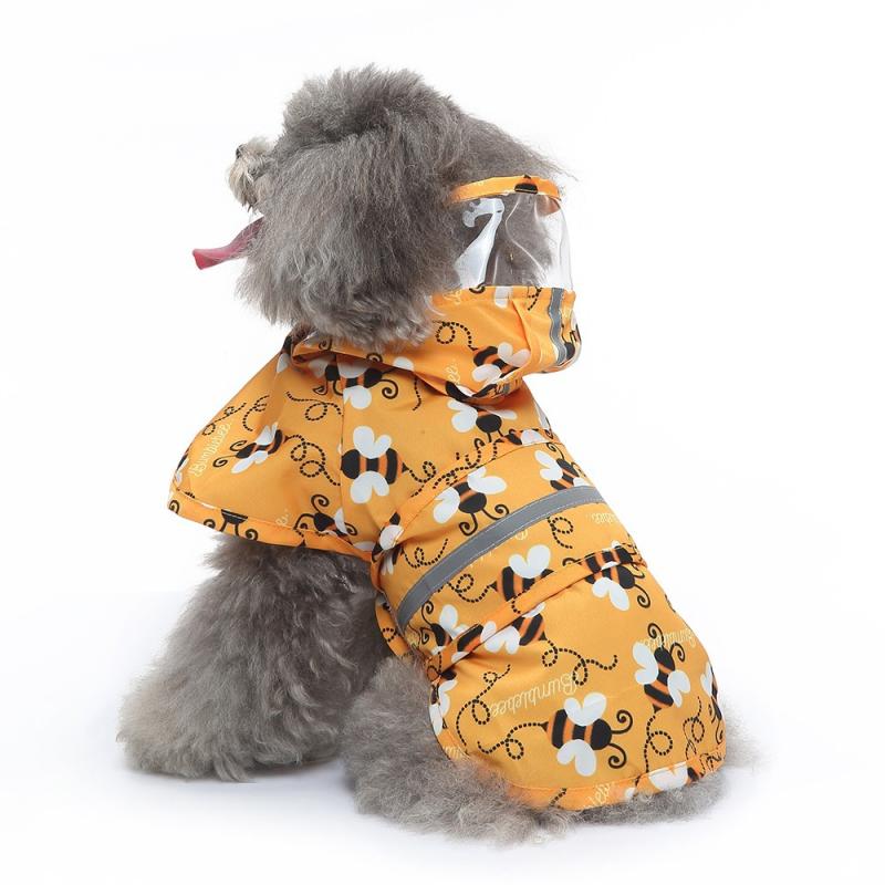 Paw Couture ???????? ??? ????????