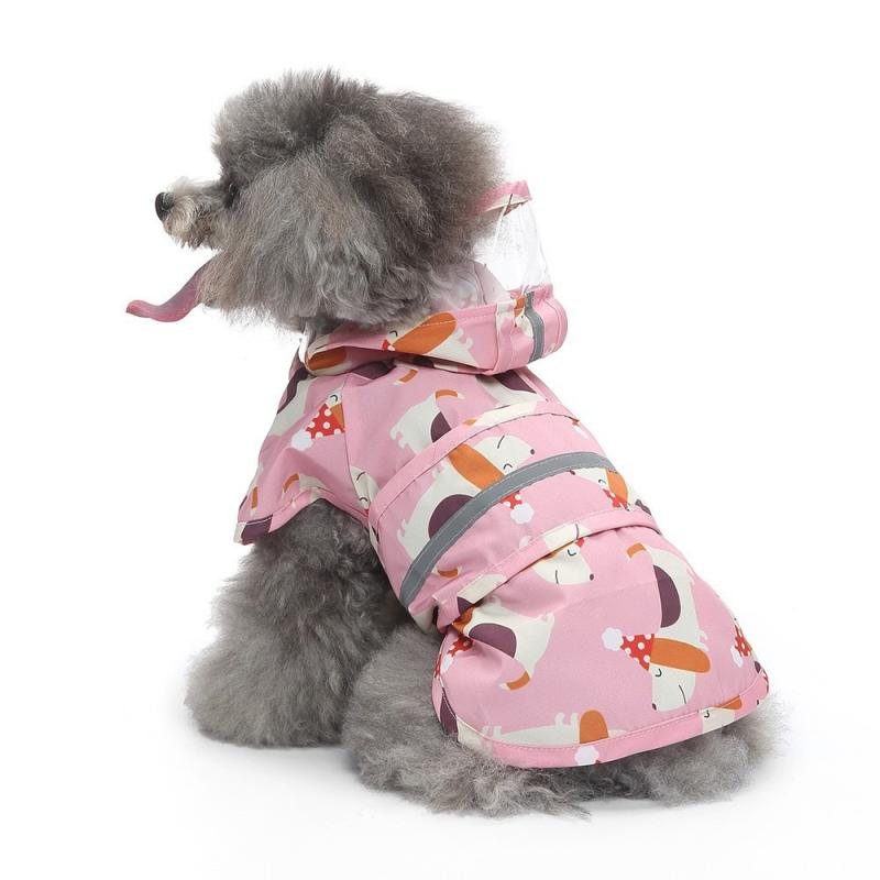 Paw Couture ???????? ??? ????????