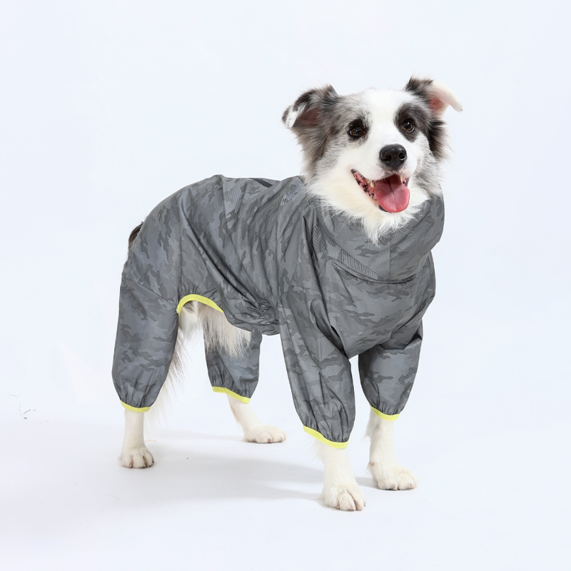 Paw Couture ???????? ??? ????????