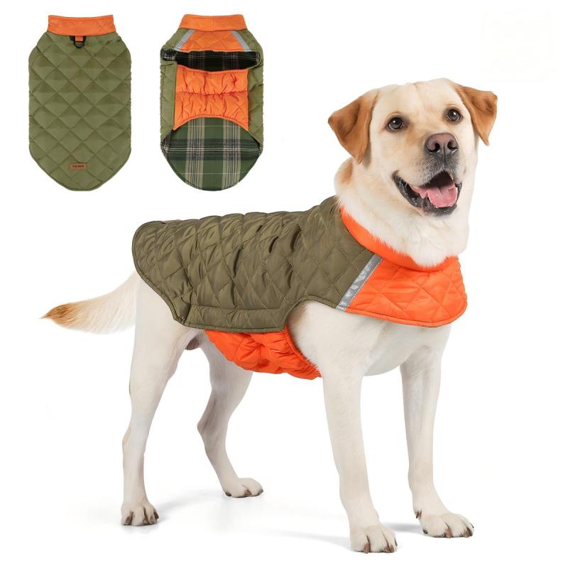 Paw Couture ????? ??? ????????