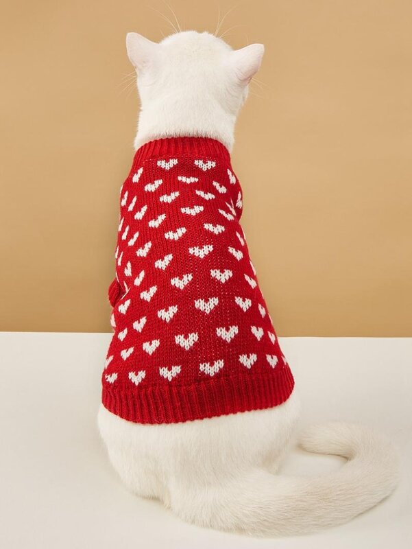 Paw Couture ?????? ??? ????????