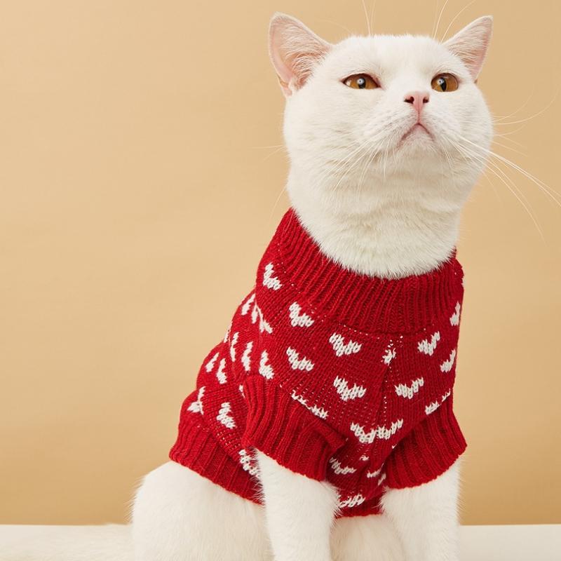 Paw Couture ?????? ??? ????????