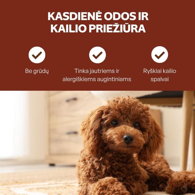 Begrūdis suaugusių, visų veislių raudonkailių šunų pašaro papildas - skanėstai su lašiša