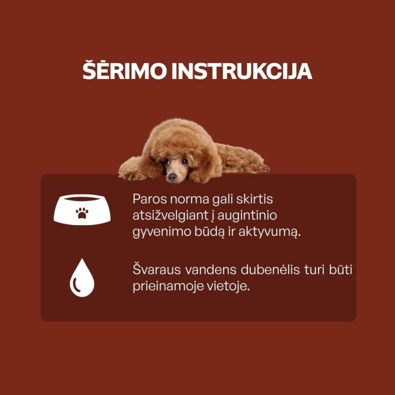 Begrūdis suaugusių, visų veislių raudonkailių šunų pašaro papildas - skanėstai su lašiša