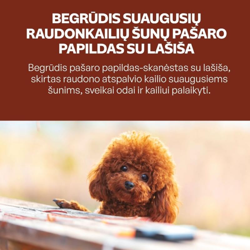 Begrūdis suaugusių, visų veislių raudonkailių šunų pašaro papildas - skanėstai su lašiša
