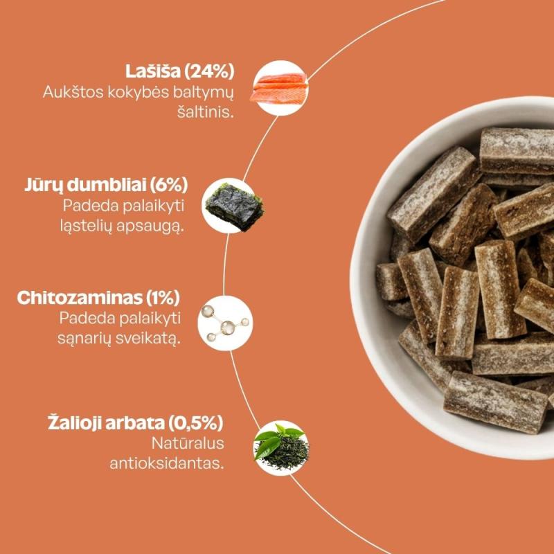 Begrūdis suaugusių šunų pašaro papildas-skanėstas su lašiša