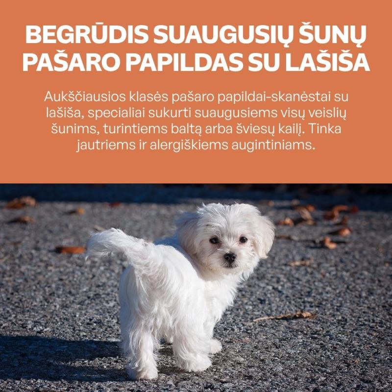 Begrūdis suaugusių šunų pašaro papildas-skanėstas su lašiša