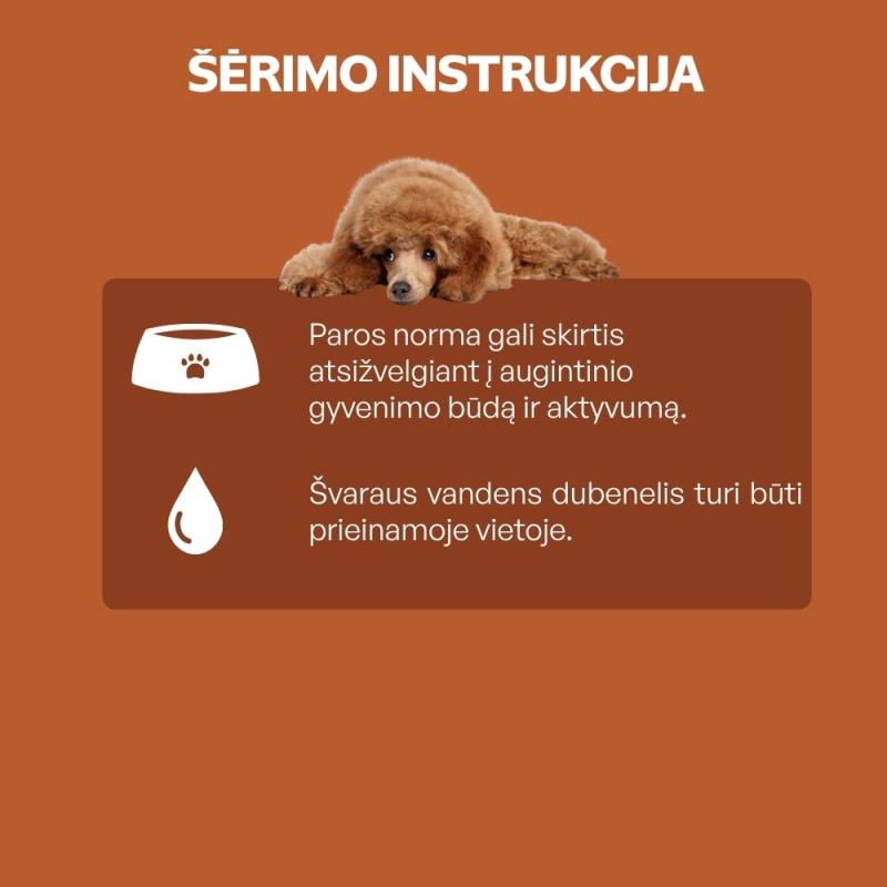 Nature's Protection Superior Care visų veislių suaugusių raudonkailių šunų, svorio kontrolei, begrūdis pašaro papildas - skanėstai su silke