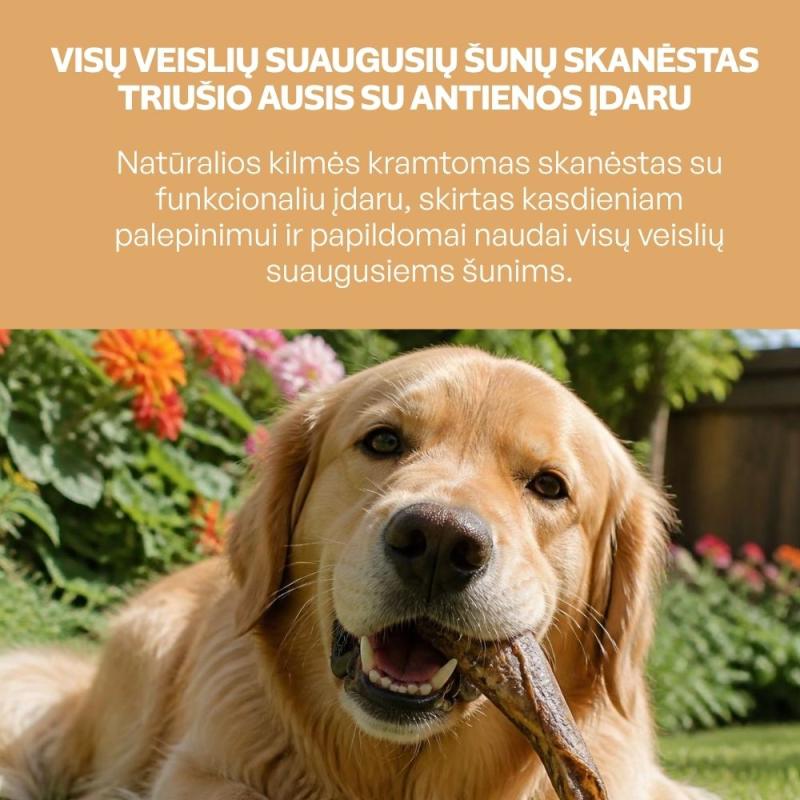 Visų veislių suaugusių šunų skanėstas triušio ausis, su antienos įdaru