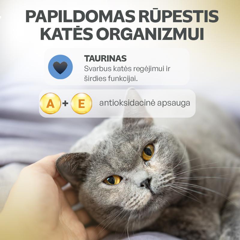 Digestive suaugusių kačių kreminiai funkciniai skanėstai su vištiena ir lašiša