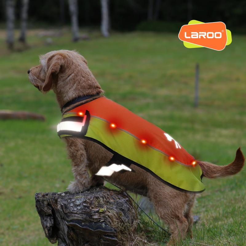 Koera vest, LED, nailonist, USB-laetav