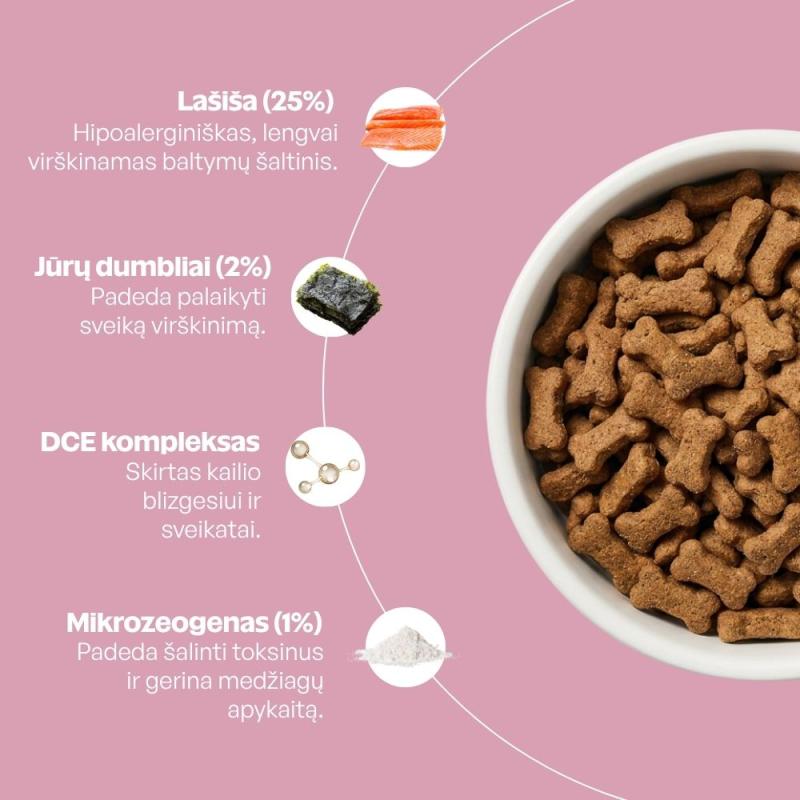 Visų veislių jaunų tamsaus kailio šunų begrūdis pašaro papildas - skanėstai su lašiša