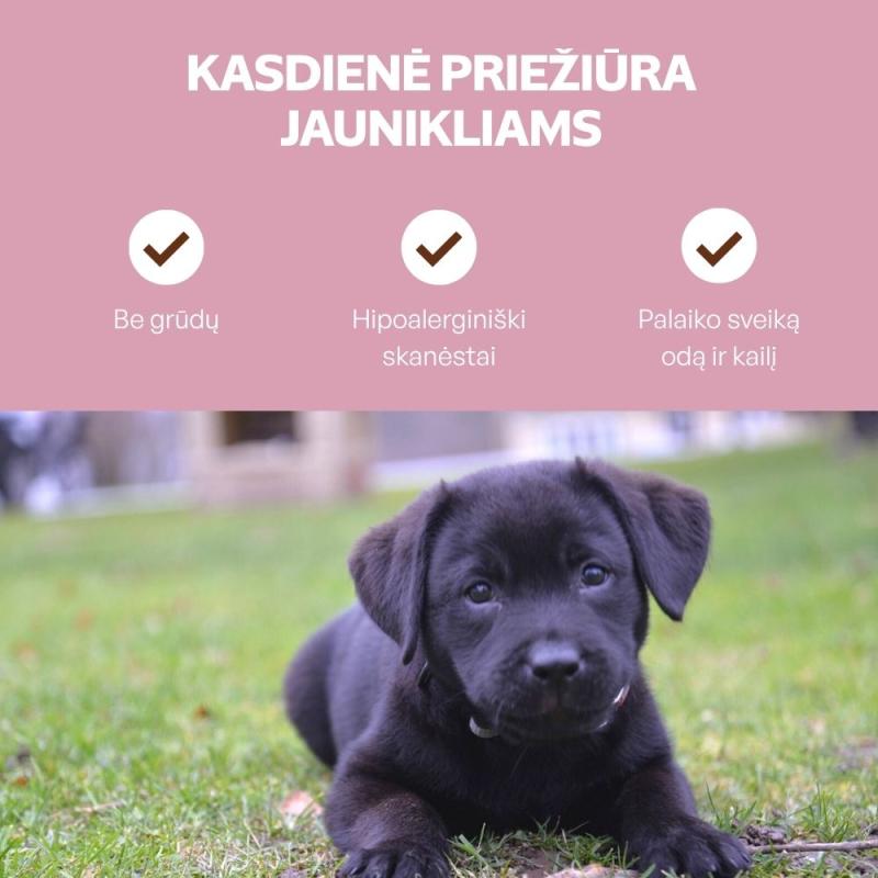 Visų veislių jaunų tamsaus kailio šunų begrūdis pašaro papildas - skanėstai su lašiša