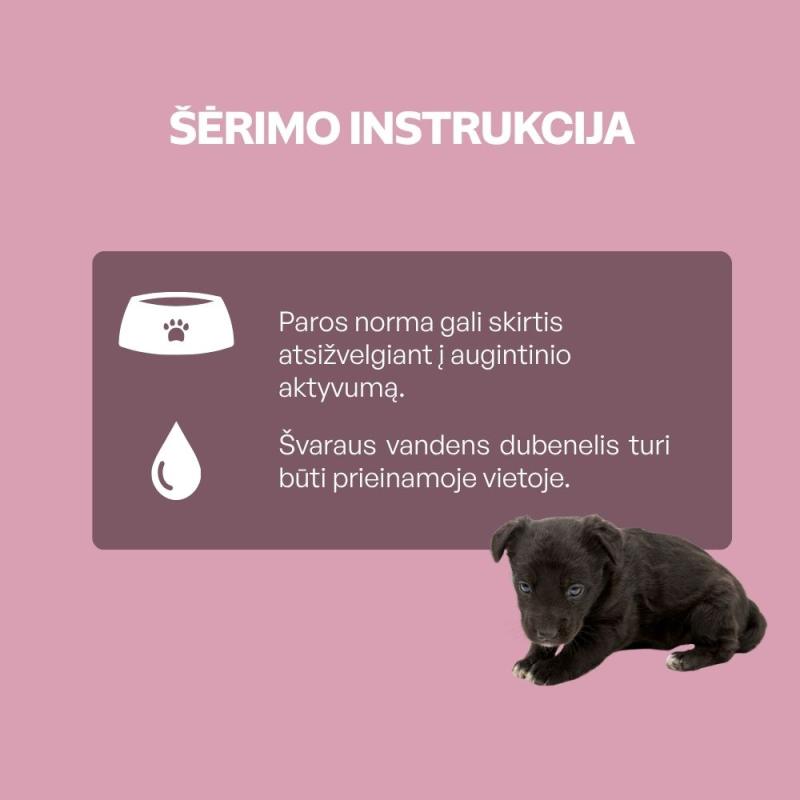 Visų veislių jaunų tamsaus kailio šunų begrūdis pašaro papildas - skanėstai su lašiša