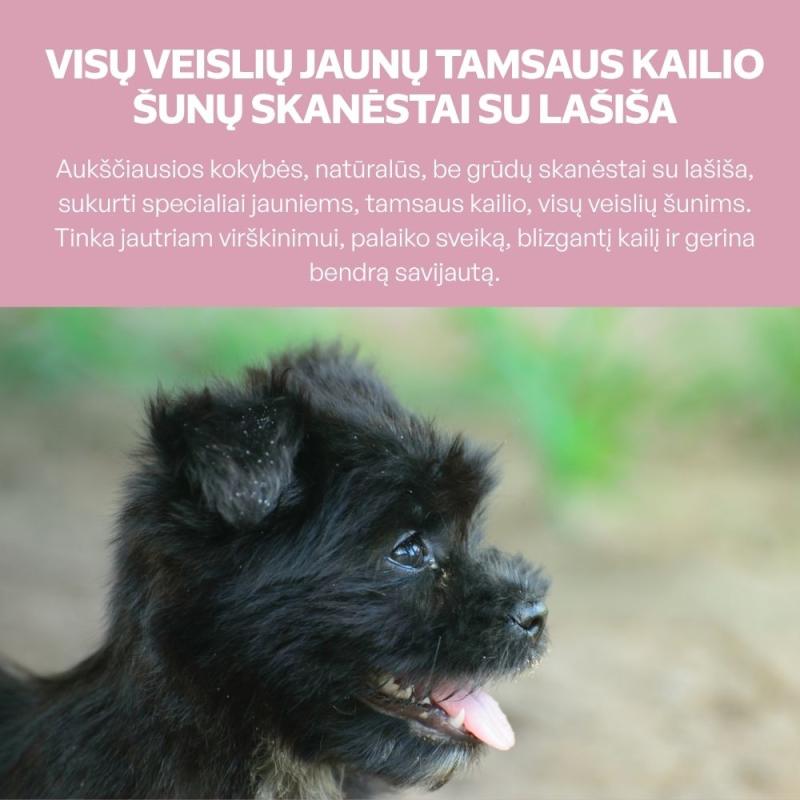 Visų veislių jaunų tamsaus kailio šunų begrūdis pašaro papildas - skanėstai su lašiša